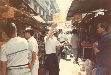 養雀仔|香港文化博物館